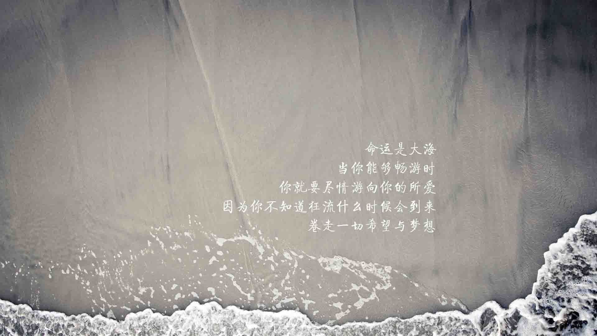-荷兰马术队在巴黎奥运会三项赛中取得第七名，展现出色表现。，荷兰马术考级标准