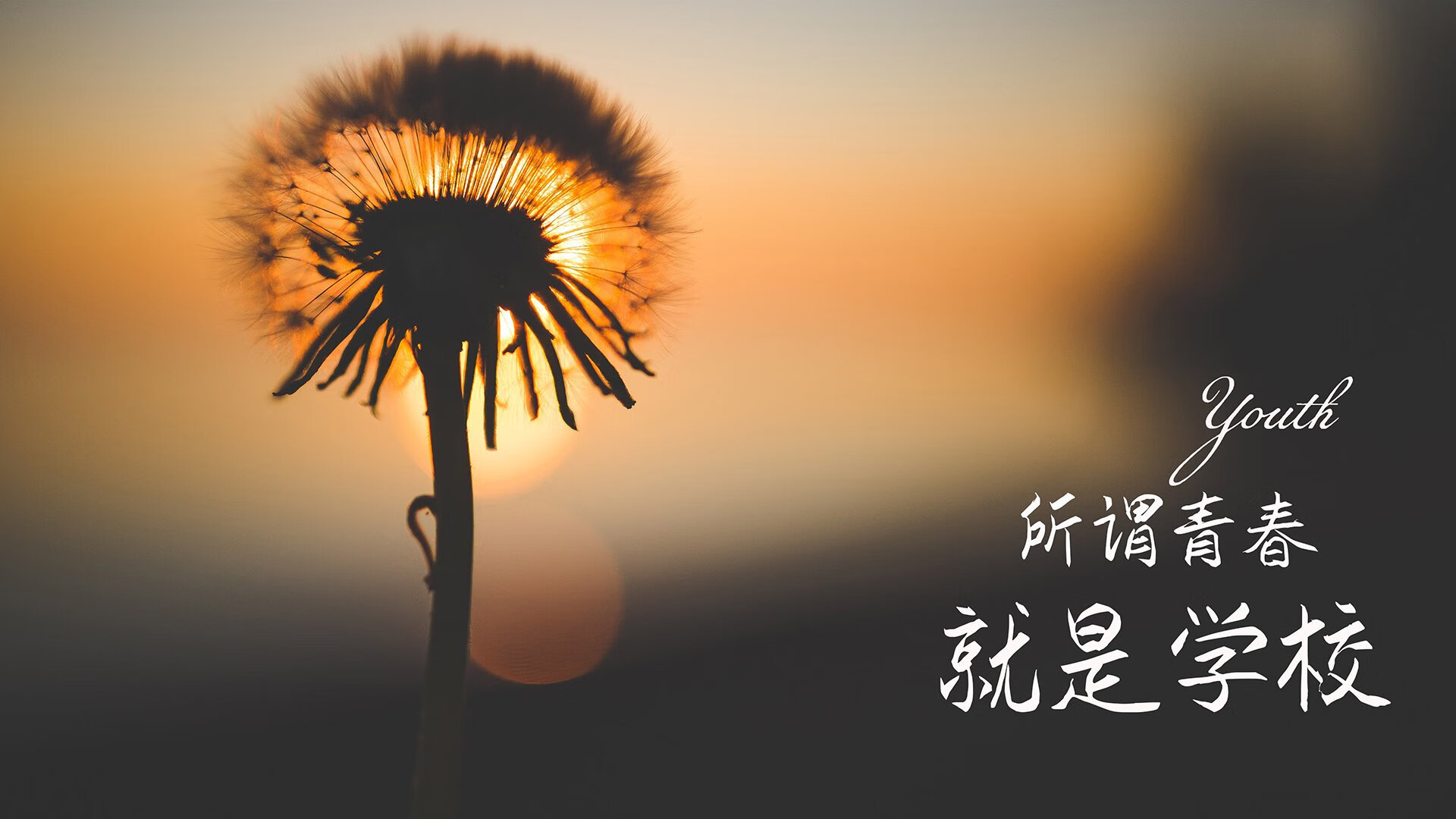 斯图加特球队获胜，士气高昂迎接下一场比赛，斯图加特足球俱乐部百科