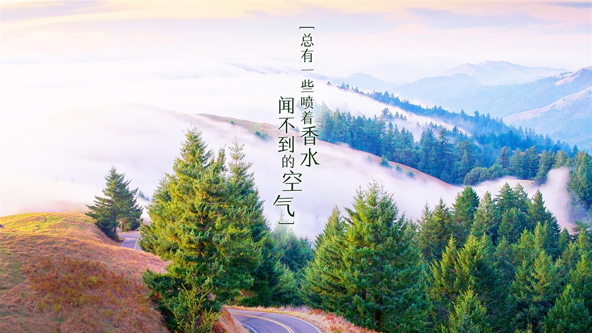 AYX体育官网-青少年联赛体系是否支持梯队上升机制，2021青少年比赛报名