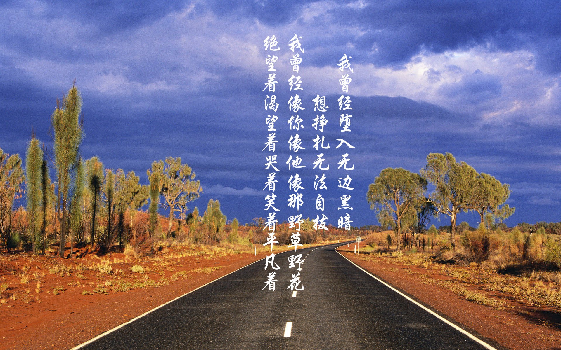 “武汉马拉松赛场：挑战自我，打破极限”