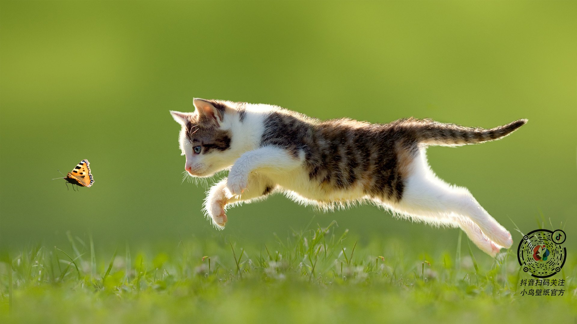 爱游戏电竞官网-印度队如何在2024年世界杯赛场打破强队束缚，印度进世界杯