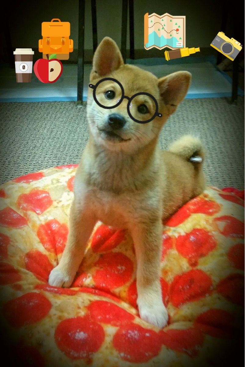 爱游戏中国官方网站平台-“马科斯·梅特罗的精准防守与快速进攻，成就阿根廷美洲狮队的致命武器”